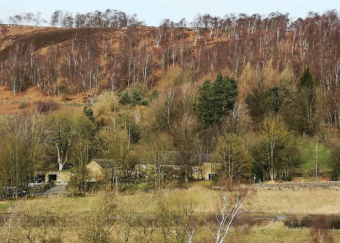 Robin Hood Farm B&B