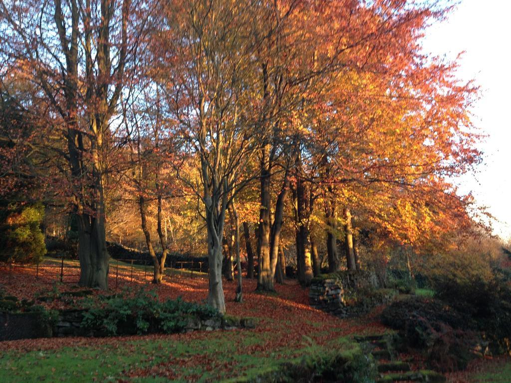 Robin Hood Farm Baslow