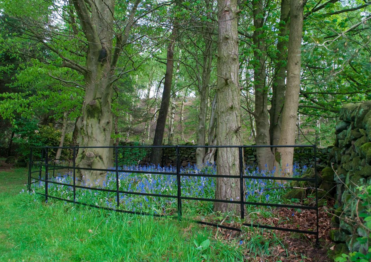 Robin Hood Farm Bed & Breakfast Baslow